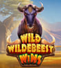Wild Wildebeest Wins