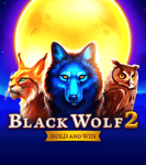 Black Wolf 2
