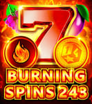 Burning Spins 243