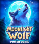 Moonlight Wolf: Power Coins
