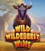 Wild Wildebeest Wins
