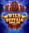 Wild Buffalo: Rapid Link